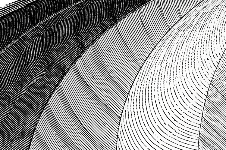 Depth Look Kernel (in-depth look) - avrtt.blog