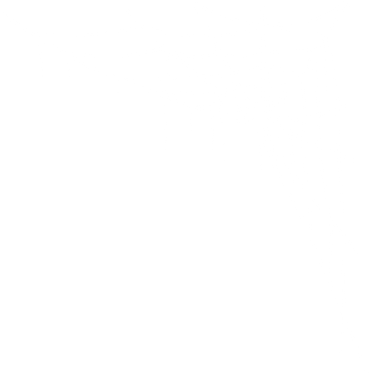 spider web